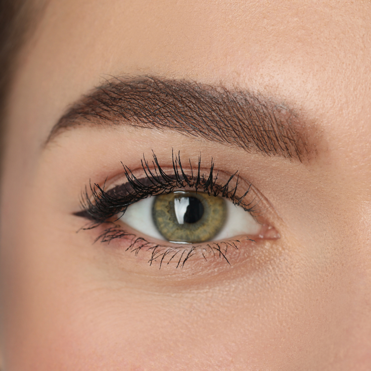 Membresía Divya: 12 citas, 1 año de cejas perfectas + Tratamiento de Pestañas y Cejas